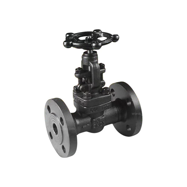 API 602 Forged Globe Valves